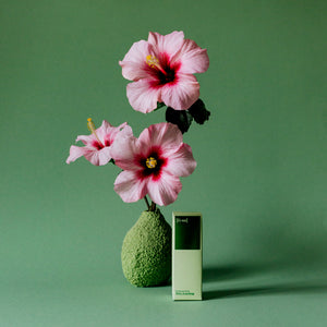 Minty Something Deo Stick in der Faltschachtel neben Hibiskusblüten